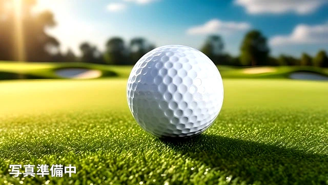 THE FIRST GOLF アカデミー のサムネイル